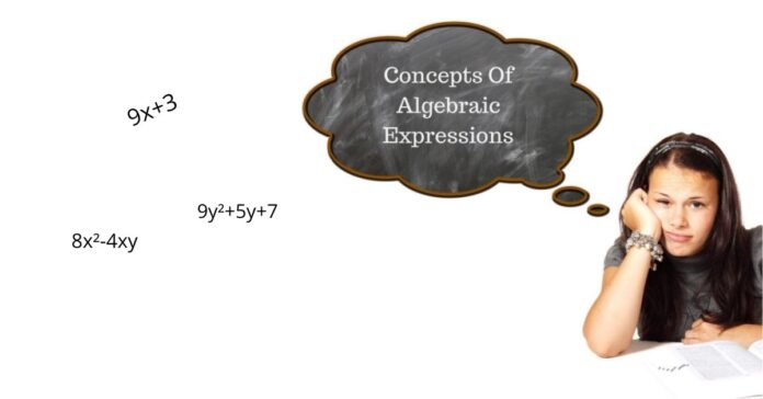 concepts of algebraic expressions